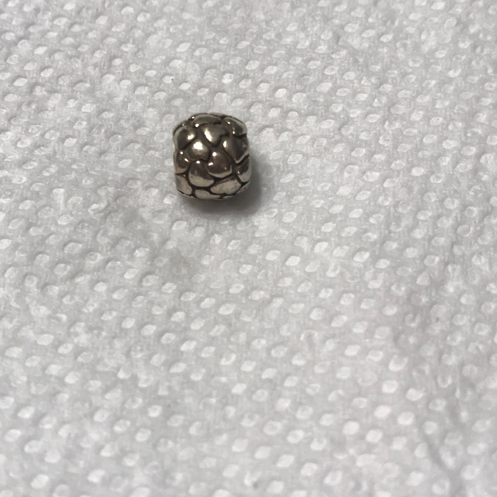 Pandora charm